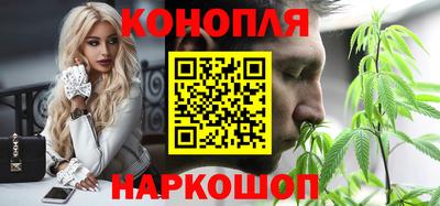 сатива Малгобек